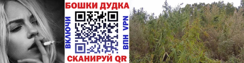 Что такое Подпорожье Кокаин  Героин  ГАШ  Меф мяу мяу 