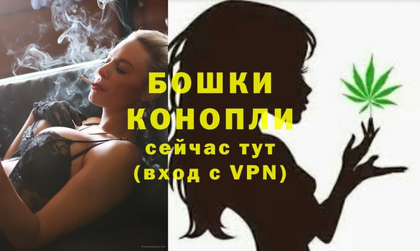 мдпв Няндома