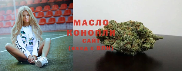 мдпв Няндома