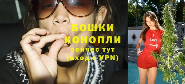 мдпв Няндома