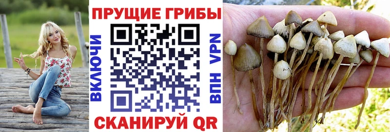 KRAKEN сайт  Подпорожье  Галлюциногенные грибы Magic Shrooms 