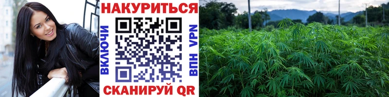 Бошки марихуана White Widow  Подпорожье 